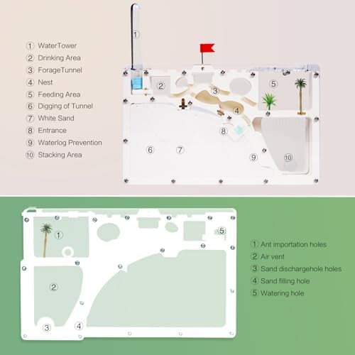 Ant Farm Castle - Large Viewing Area - Care for Live Ants - Ant Colony Observation Kits with Sand Habitat - Educational Science Gifts for Boys, Girls - Ant Farms for Kids, Adults - Image 4