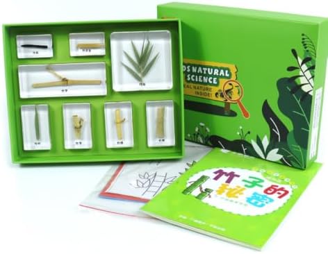 harayaa Children Learning Educational Kit with Resin Sample Blocks Tray Box Cards and Printed Organized Biology Collection, Array, Bamboo S Secret by Unknown