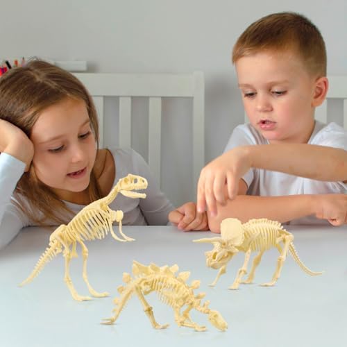NUOLUX 3Pcs 4D Dinosaur Fossil Skeleton Toys DIY for Kids Fossil Skeleton Figure - Image 6