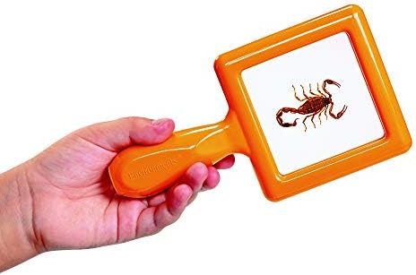 Environments Toddler Specimen Viewers Set of 4 (Item # SPECISEE) - Image 6