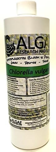 Algae Research Supply Algae Culture Chlorella Vulgaris, Perfect for School Science Fairs/Projects, Experiments & Classrooms (500ml) by Algae+Research+and+Supply