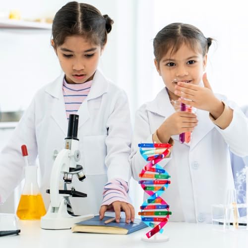 Abaodam Educational DNA Model with Display Stand Double Helix Science Kit for Kids Interactive DIY Genetic Structure Learning Toy Biology Model 14.56In - Image 3