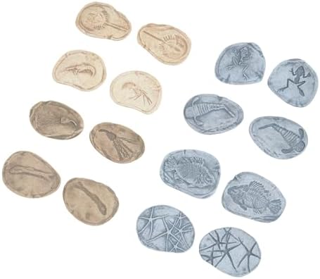 Kaplan Early Learning Company Magnetic Matching Aquatic Life Fossil Stones - Set of 8 - Image 4
