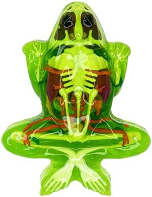 Dissect-It, Premium Frog Dissection Kit, STEM Toys for Kids, Ages 6+ - Image 3