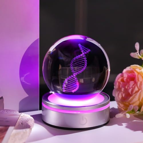 DNA Crystal Ball with LED Base - Unique 3D Laser Engraved Science Decor, Gift for Biology Teachers, Medical Students & Science Lovers, Classroom Lab Decor Night Light - Image 4