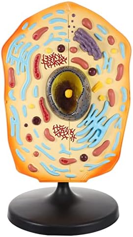 Animal Cell Teaching Kit for Students Educational Cell Anatomy Display Detachable Organelles for Biology Classroom Demonstrations and Learning Activities by Unknown