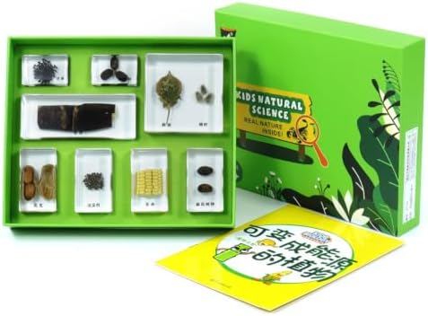 Children Learning Classroom Kit with Resin Sample Blocks Display Box Inner Tray and Study Cards Neat Compartment Design and Guided Learning Suitable, Plants that Can Be Converted Into Energy by Unknown