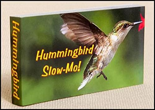 Hummingbird Flipbook for Kids Ages 6-12, Animation Flip Book for Children - Image 6