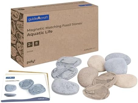 Kaplan Early Learning Company Magnetic Matching Aquatic Life Fossil Stones - Set of 8 by KaplanEarlyLearningCompany