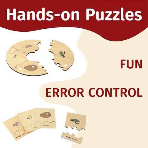 ancona Life Cycle- Sea Turtle, Spanish/Simplified Chinese with Pinyin Bilingual, Montessori Preschool Memory Matching Game Box Set with Animal Figurines & Matching Puzzle Cards, Early Education Toy - Image 4
