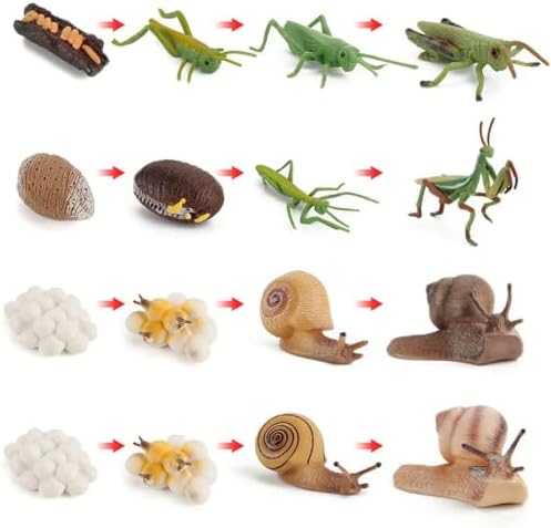 Montessori Animal Life Cycle Figurines - Image 4