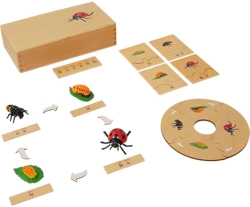 ancona Life Cycle- Ladybug, English Monolingual, Montessori Preschool Memory Matching Game Box Set with Animal Figurines & Matching Puzzle Cards, Early Education Toy by ancona