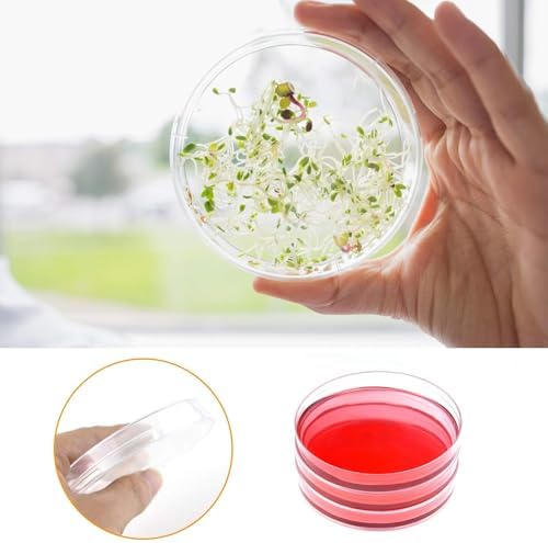 30 Pack 90 x 15mm Plastic Bioresearch Sterile Petri Dishes with Lids - Image 5