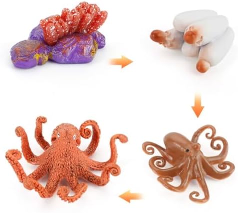Montessori Animal Life Cycle Figurines by Unknown