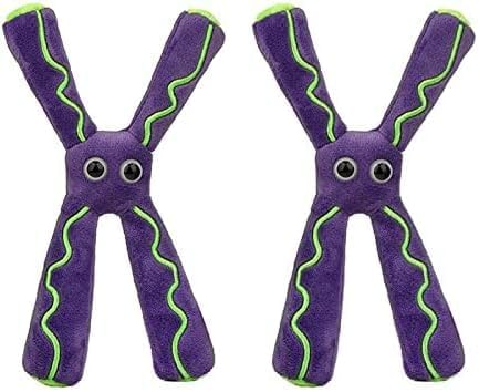 GIANT MICROBES Chromosome Plush, Genetics Gift, DNA Gifts, Genealogy, Ancestry Gift, Biology Plushies, Genetic Counselor, Forensic Science Gifts, Biology Models (Pack of 2) by GIANTmicrobes