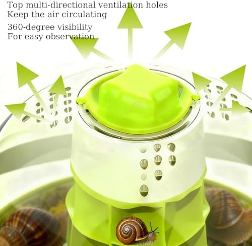 Snail Terrarium Kit Insect Enclosure Bug Terrarium Observation Container Praying Mantis Habitat Breeding Box Micro Habitat Starter Kit for Beetles Spider Small Reptile - Image 3