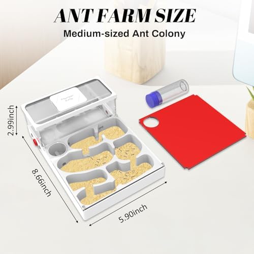 Transparent Ant Habitat – 3D Printed Mini Farm Acrylic with Expansion Ports Water Tower & Sand Nest Indoor Ant Colony Starter Kit for Beginners & Advanced Keepers (No Ants Included) - Image 2