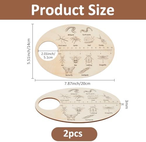 SUPERFINDINGS Insect Wooden Custom Insects Exploration Board Educational Learning Gift Learning Insect Plywood Insects ID Search Board Insect Iecognition Tools for Fields Forest Insect Lovers Gifts - Image 2