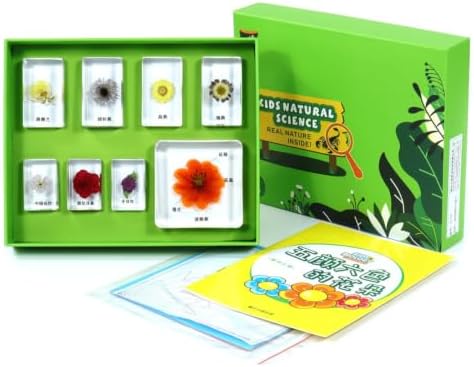 Children Learning Specime Biology Kit with Resin Blocks Collection Box Tray Organizer Printed Learning Cards Classroom Aids Suitable for Classroom, Colorful Flowers by TTETTZ