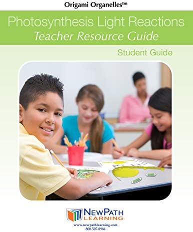 NewPath Learning Photosynthesis & Light Reactions 3-D Paper Model Making Kit, Set/5 Full-Color, Paper Model Templates & Teacher Guide (24-7728) - Image 2