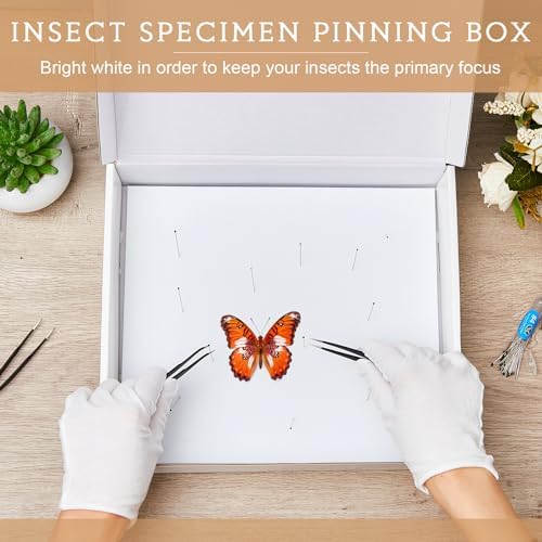 Taiyin 2 Sets Insect Pinning Kit, 100 Pins, 3 Tweezers for Specimens - Image 5