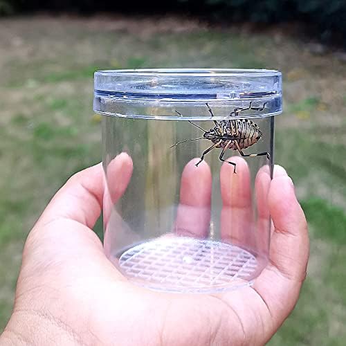 8 Pieces Bug Viewer Critter Insect Cage Magnifying Insect Box Bug Magnifier Container Bug Catcher Cage, Science Nature Exploration Tools - Image 6