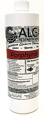 Algae Research Supply Algae Culture Porphyridium Cruentum, Perfect for School Science Fairs/Projects, Experiments & Classrooms (500mL) by Algae+Research+and+Supply
