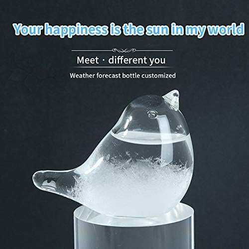 Hovico Storm Weather Forecaster, Water Drop Weather Predictor, Drop-Shaped Glass Barometer, Home and Office Decorative Glass Bottles (A) - Image 6
