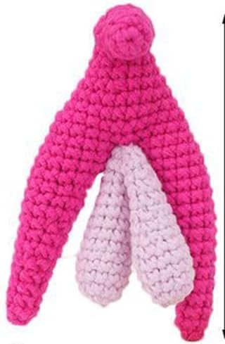 Female Anatomy Model - Knitted Uterus Teaching Aid for Physiology Classes, Postpartum Demonstration, Educational Props and Ornaments by Unknown