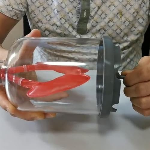 Respiratory System Model Diaphragm Movement Simulation Lung Breathing Model Human Lung Breathing Movement Lung Breathing 3D Human Organ Model Human Organ Lung Model - Image 5