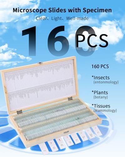 160-Pcs Microscope Slides with Specimens,Plant, Animal, Algae,etc,Educational Microscope Slides and Covers for Young Scientists,Perfect for Biology Class and Experiments - Image 2