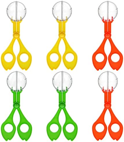 TOYANDONA 6pcs Insects Catcher Handy Scoopers Scissors Tongs Tweezers Multifunctional Collection Set for Kids Outdoor Nature Exploration Toy (17.5cm Random Color) by TOYANDONA
