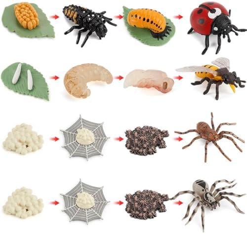 Montessori Animal Life Cycle Figurines - Image 3
