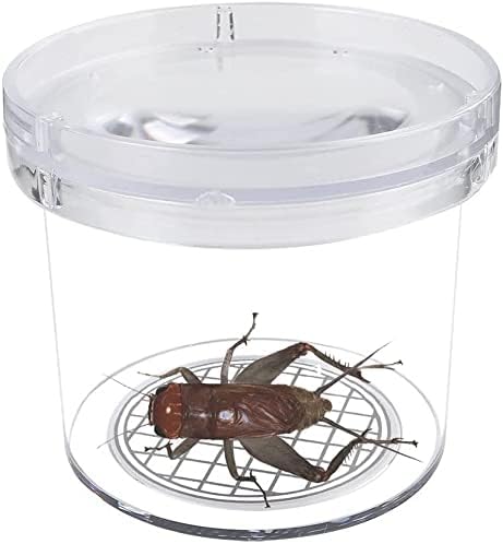 8 Pieces Bug Viewer Critter Insect Cage Magnifying Insect Box Bug Magnifier Container Bug Catcher Cage, Science Nature Exploration Tools - Image 4