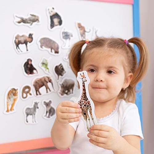 Fridge Magnets for Kids - 19 Zoo Animal Magnets - Educational Toy - Image 4