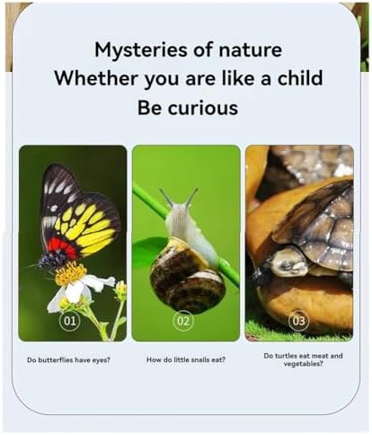 New Bug Viewer Outdoor Insect Box Magnifier Observer Kit Insect Catcher Cage Kids Science Nature Exploration Tools - Image 3