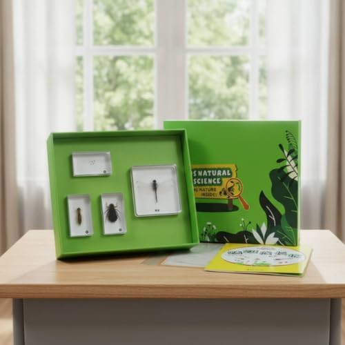harayaa Children Learning Educational Kit with Resin Sample Blocks Tray Box Cards and Printed Organized Biology Collection, Array, Plant Body - Image 5