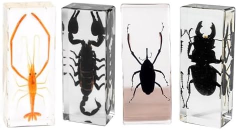 Extra Large 4-Pack Insect Specimens in Resin Crystals Preserved by Aolowewin