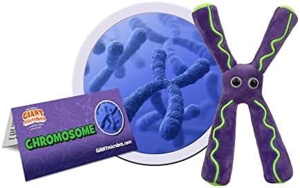 GIANT MICROBES Chromosome Plush, Genetics Gift, DNA Gifts, Genealogy, Ancestry Gift, Biology Plushies, Genetic Counselor, Forensic Science Gifts, Biology Models - Image 2
