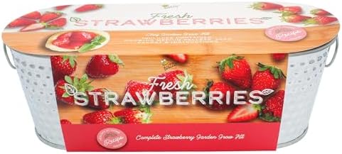 Buzzy Seeds Alpine Strawberry Grow Kit, Metal Windowsill Planter by BUZZY