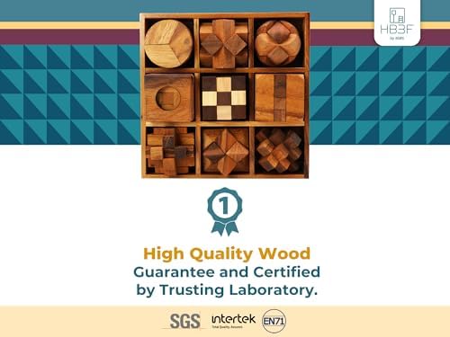 BSIRI 9 in 1 Wooden Brain Teaser Puzzles for Adults Teens Box Set Wood Hard Level 10 Impossible Mind Wood Brain Teaser Games 3D Hand Puzzle Sets for Decoration and Mini Toys - Image 3