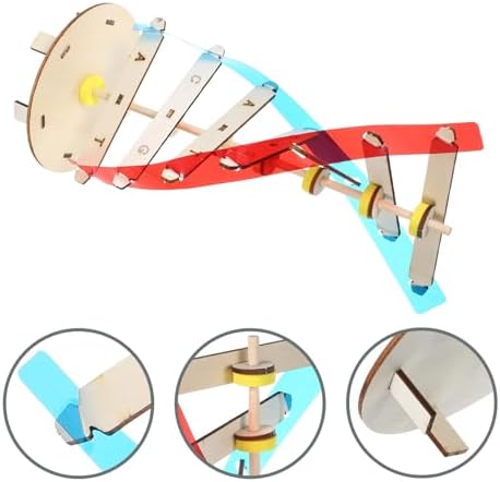 DNA Model Double Helix Science Teaching Kit for Kids and Students - Image 7