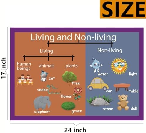 Living and Non-living Mind Mapping| Educational Posters for Kids(17x24in) - Image 2