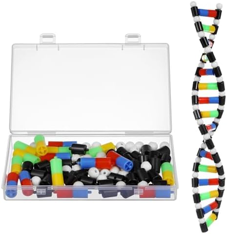DNA Model Double Helix Structure Model DNA Display Component Biological Science Popularization Teaching for Science Teaching Display - Image 2