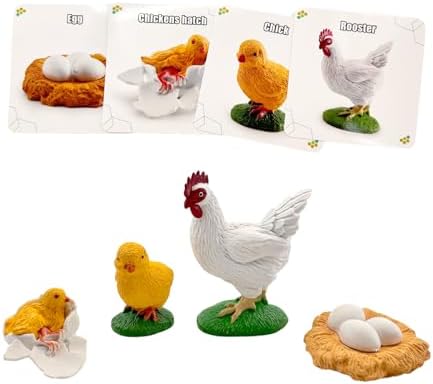Montessori Life Cycle Animal Figures with Flash Cards, Lifelike Animal Growth Cycle Biological Model Set (Rooster) by HYSTYLE
