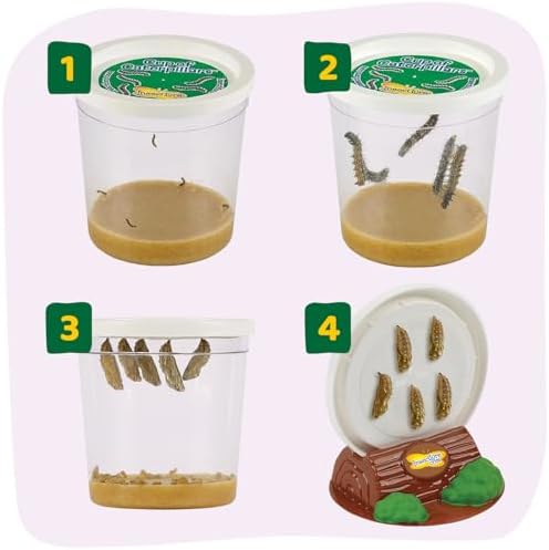 Insect Lore Butterfly Farm - Live Cup of 5 Caterpillars, Reusable Habitat, STEM Butterfly Activity Journal & Supplies - Grow, Observe and Release Painted Lady Butterflies - Image 3
