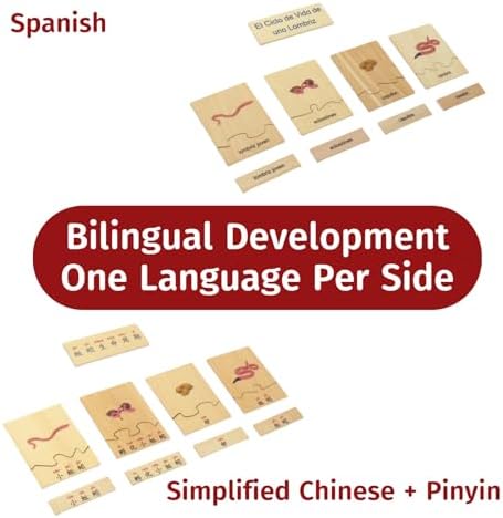 ancona Life Cycle- Worm, Spanish/Simplified Chinese with Pinyin Bilingual, Montessori Preschool Memory Matching Game Box Set with Animal Figurines & Matching Puzzle Cards, Early Education Toy - Image 3