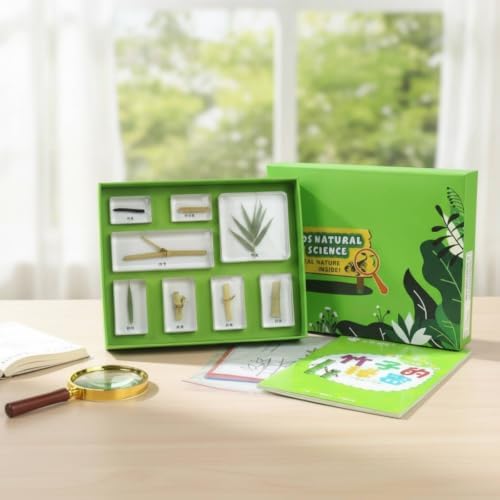 Children Learning Educational with Resin Sample Blocks Tray Box Cards and Learning Sheets Organized Biology Collection Suitable for Classroom, Array, Plant Body - Image 4