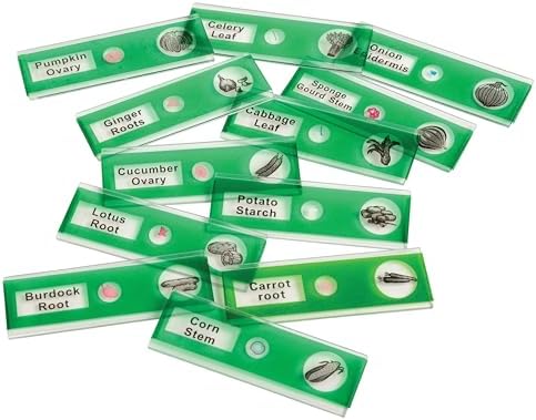 Prepared Microscope Slides for Kids – 12 Plastic Vegetable Specimens with Labels & Images – Safe, Durable Biology Science Kit for Students Ages 8+ by ConstructivePlaythings