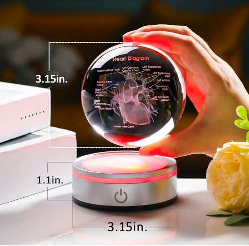 3D Heart Model Crystal Ball Doctors Gift, Cardiologist Gift for Men and Women with Colorful LED Base, Medical Statue for Psychology Graduation, Christmas Heart Anatomy Art Decor - Image 2